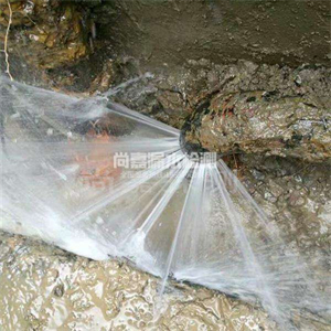 鱼台消防管道漏水检测